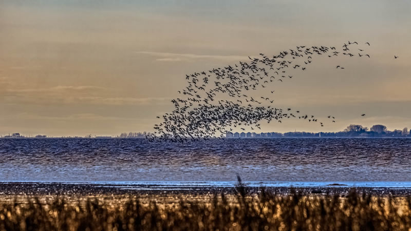 Whitewater Lake Launching by Stino Scaletta